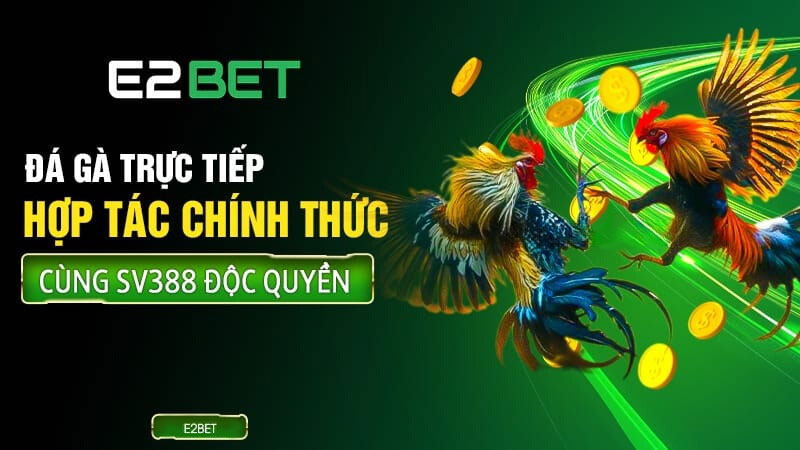 Đá gà trực tuyến uy tín - độc quyền tại E2BET